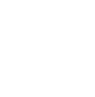 Logo Disco příběh